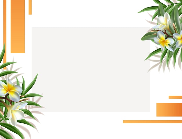 Realistic vector illustration tropical frangipani flowers frame banner