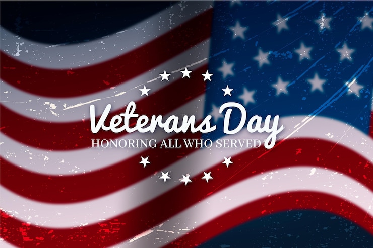 Free Vector realistic veterans day concept