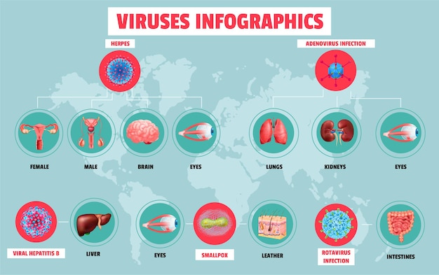 Realistic Viruses Infographics