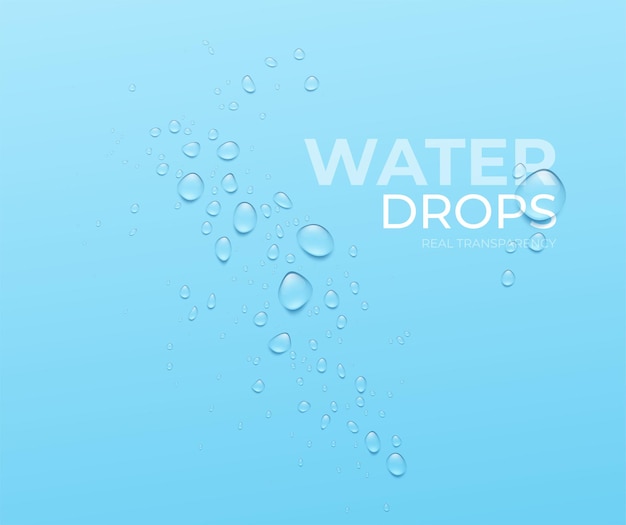 Free vector realistic water drops on blue background, real transparent effect. vector illustration eps10