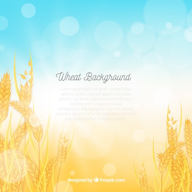 Realistic wheat background