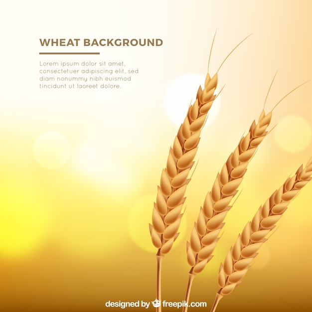 Free vector realistic wheat background