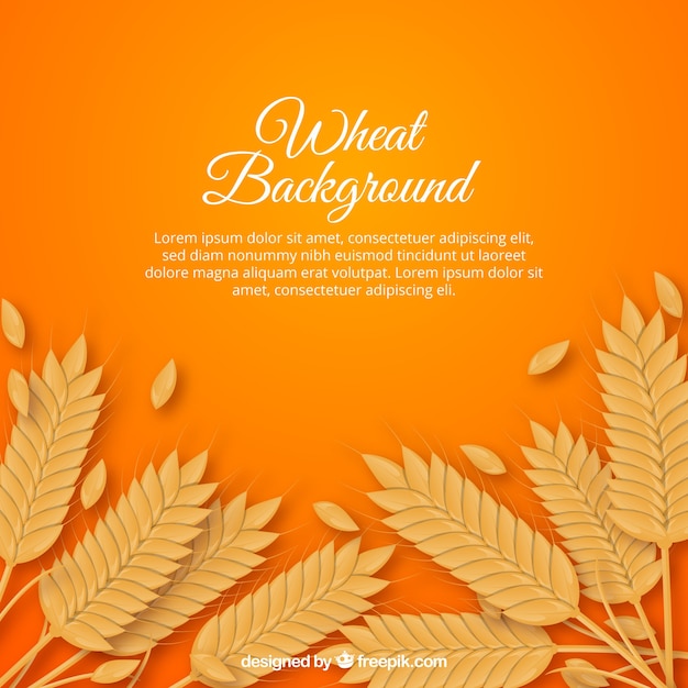 Realistic wheat background