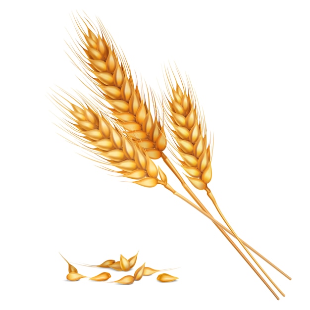 Реалистичная Пшеничная Композиция