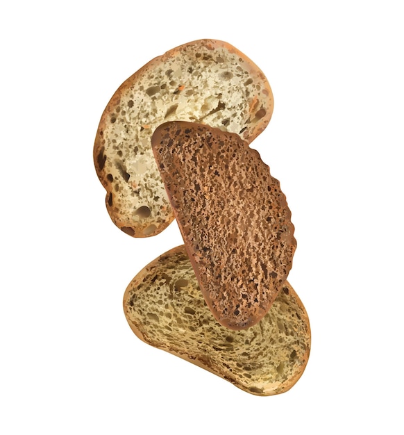 白い背景のベクトル図にリアルな小麦とライ麦パンのスライス