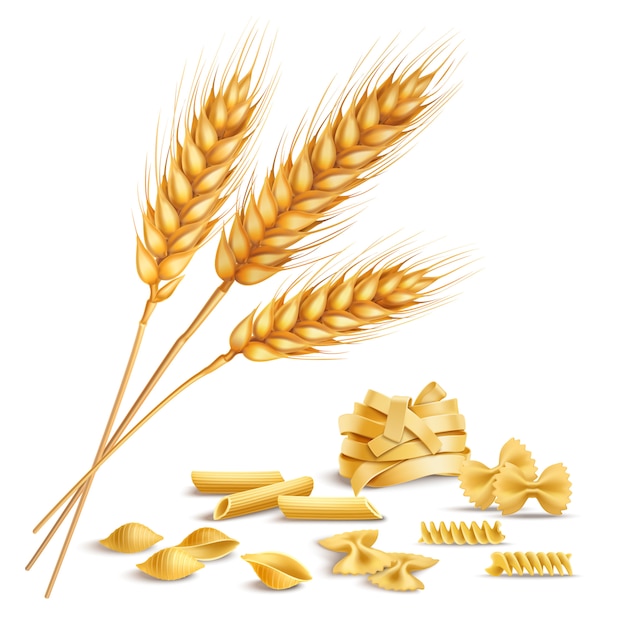 Realistic wheat spikelets and pasta