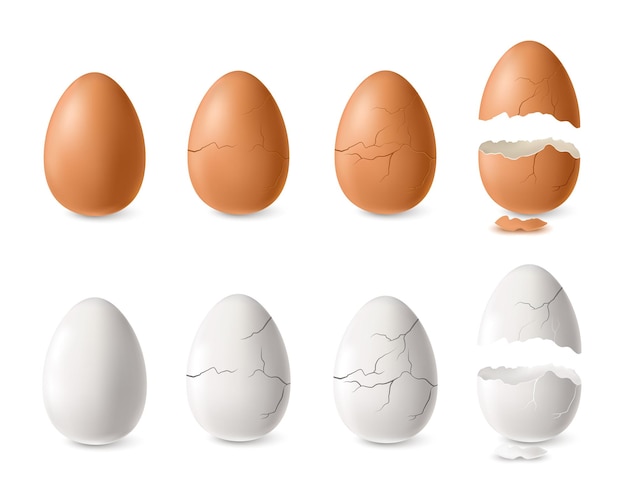 Realistic white and brown cracked and open egg set isolated illustration