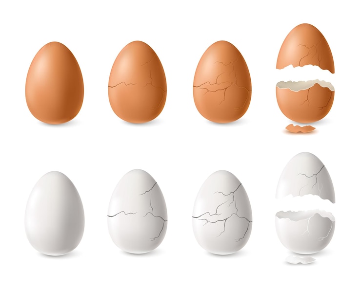Free Vector realistic white and brown cracked and open egg set isolated illustration