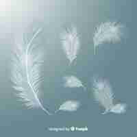 Free vector realistic white feather set