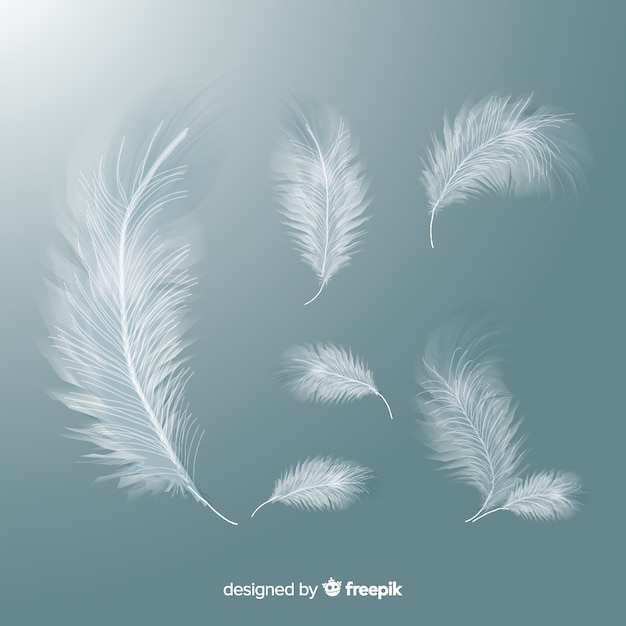 Realistic white feather set