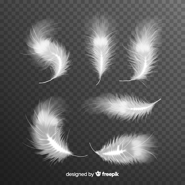 White Feather Images - Free Download on Freepik