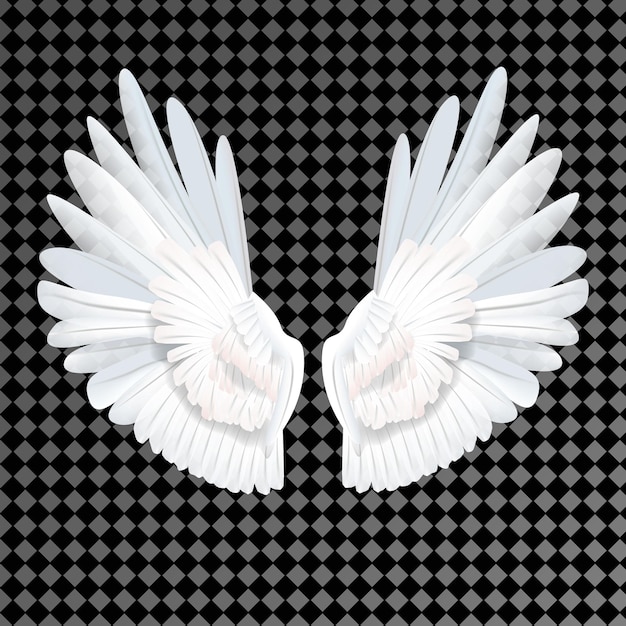 Realistic white wings on transparent background