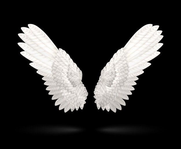 Realistic White Wings