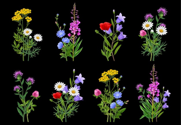 Realistic wildflower bundles icons set on black background isolated vector illustration