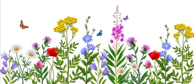 Реалистичное поле диких цветов с красочными цветами и векторной иллюстрацией бабочек