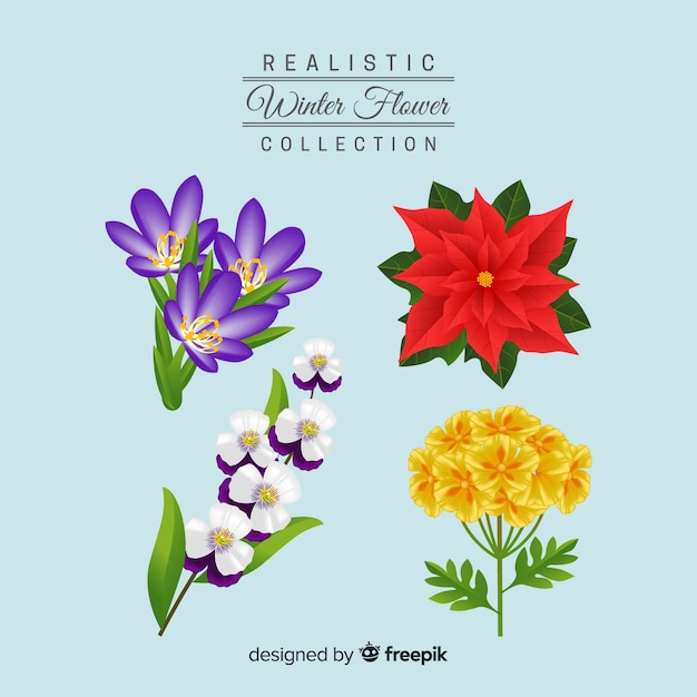 Realistic winter flower collection