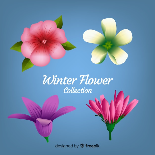 現実的な冬の花のコレクション