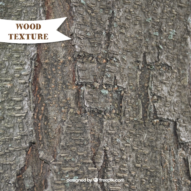 Free vector realistic wood texture