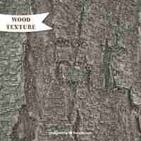 Free vector realistic wood texture