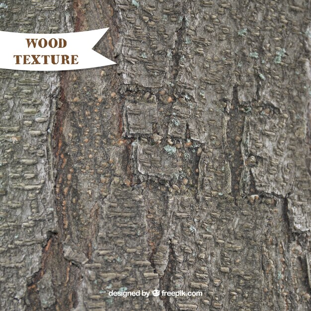 Realistic wood texture