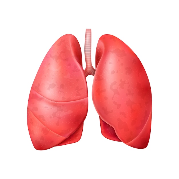 Realistic world pneumonia day composition with isolated illustration of healthy human lungs