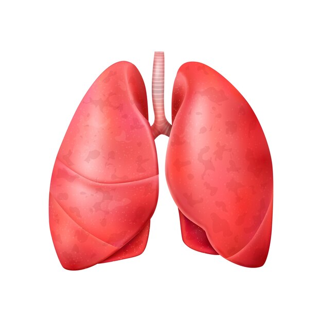 Реалистичная композиция всемирного дня пневмонии с изолированной иллюстрацией здоровых легких человека