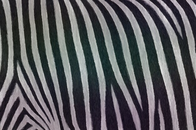 Free Vector realistic zebra print pattern background