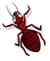 A red ant