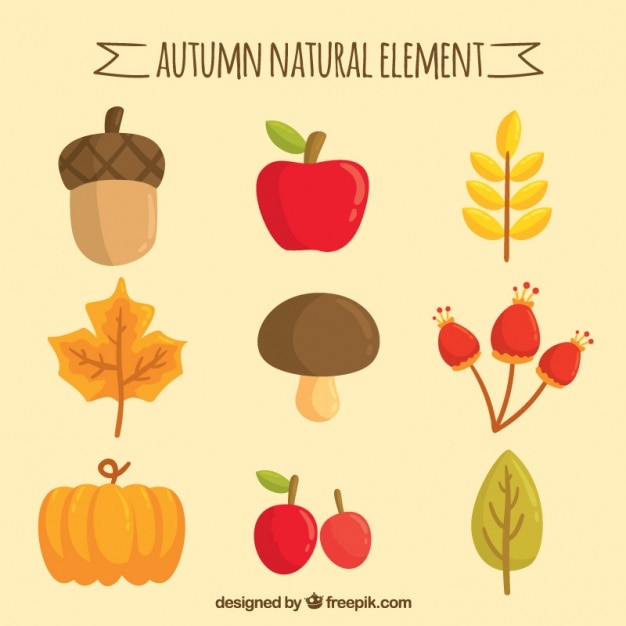 Free vector red apple with other autumnal items