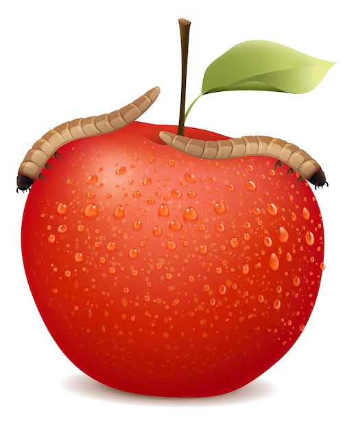 Красное яблоко с двумя червяками на нем