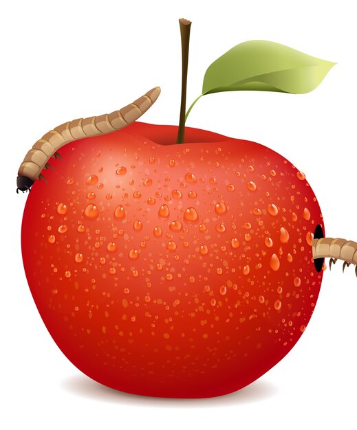 Red apple with two worms