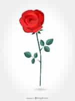 Vettore gratuito red rose artistico