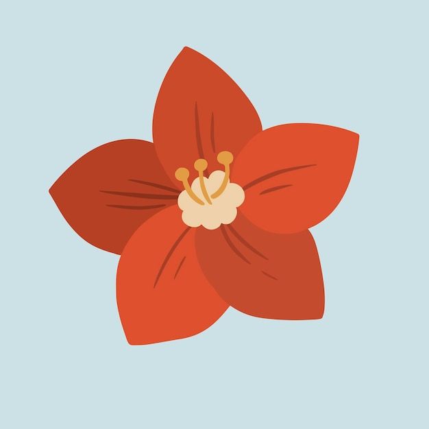 붉은 식물 꽃 소셜 광고 템플릿 벡터