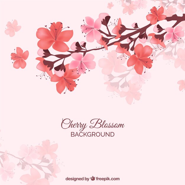 Red cherry blossom background