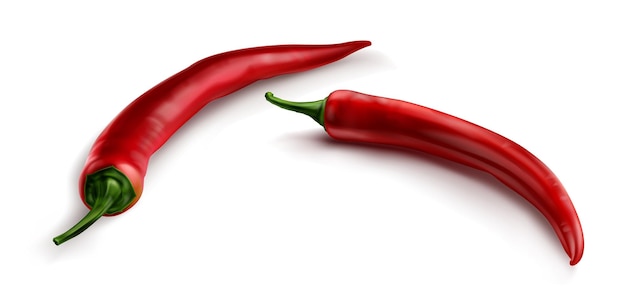 Free vector red chili pepper hot spicy paprika cayenne