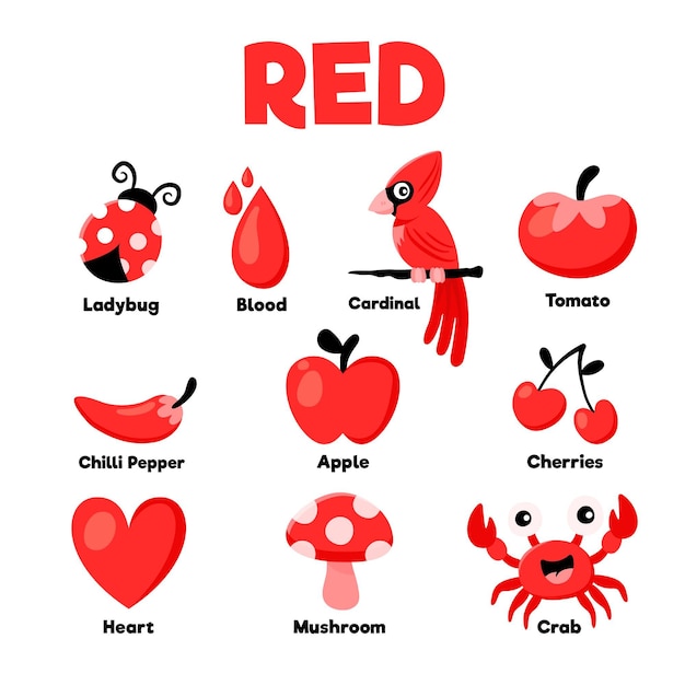 영어로 된 붉은 색과 어휘 세트