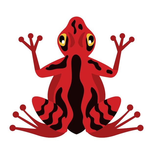 무료 벡터 빨간색 이국적인 개구리 수륙 양용 동물