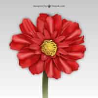 Бесплатное векторное изображение Красный цветок