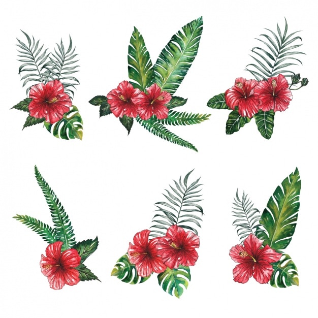 Free vector red flowers design