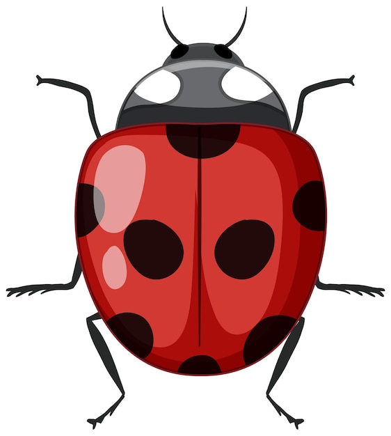 Free vector red ladybug isolated on white background