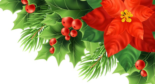 Red poinsettia flower realistic vector illustration. Xmas decorative plants. Holly, red berries, poinsettia and fir branches Christmas decoration. Isolated banner, poster color design element