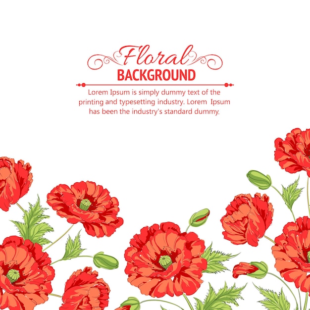 Free vector red poppy background