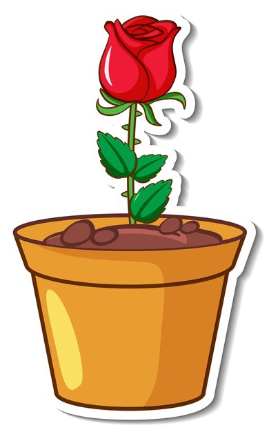 A red rose in a pot sticker