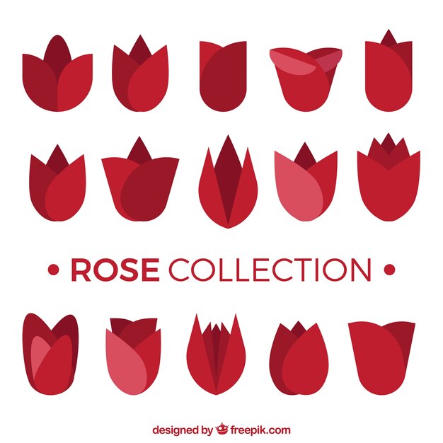 Коллекция красных роз