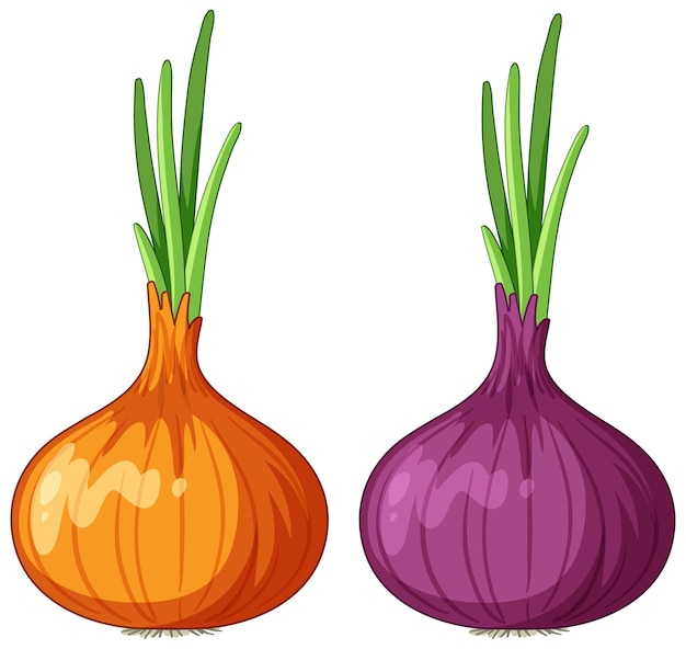 Free vector red shallot and onion vector