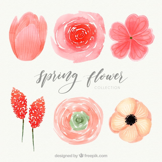 Free vector red watercolor spring flower pack