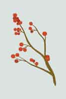 무료 벡터 회색 배경 벡터에 빨간 winterberry