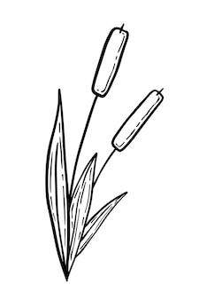 Reeds on a stem with leaves doodle linear