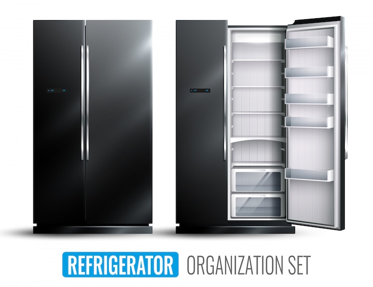 Free Vector refrigerator organization set 