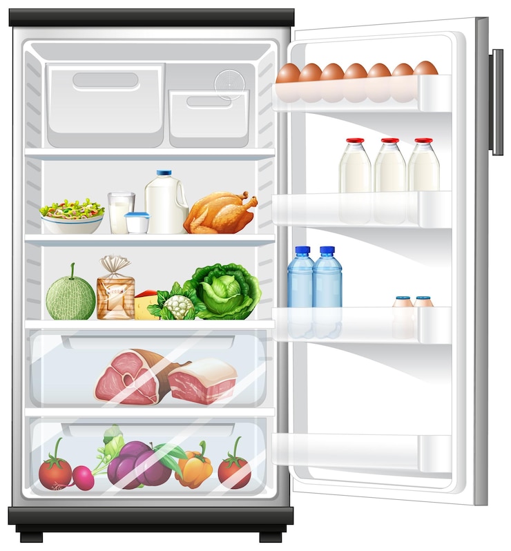Free Vector refrigerator with lots of food